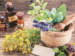 Herbs Remedy