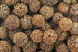 Rudraksha Remedy